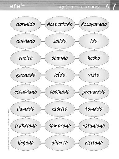 ¿Qué has hecho hoy?